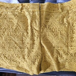 Ann Taylor Mustard Lace High Waist Shorts